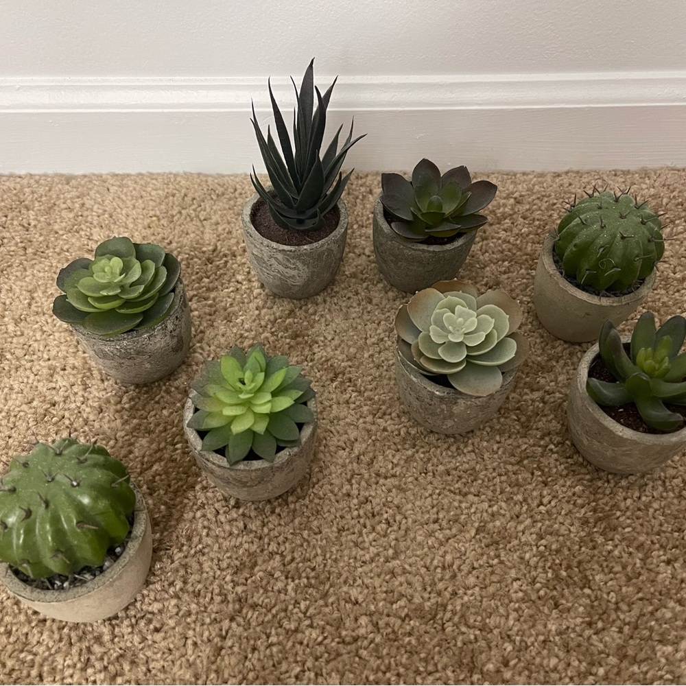 Miniature Artificial Succulents